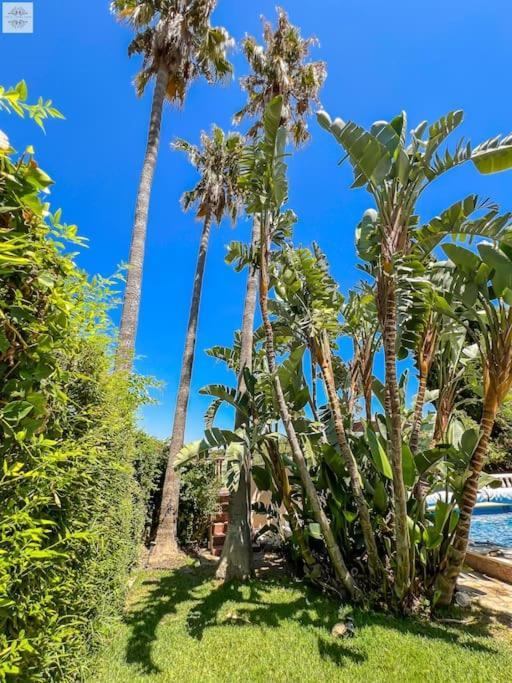 Finca Tierra Sana Эстепона Экстерьер фото