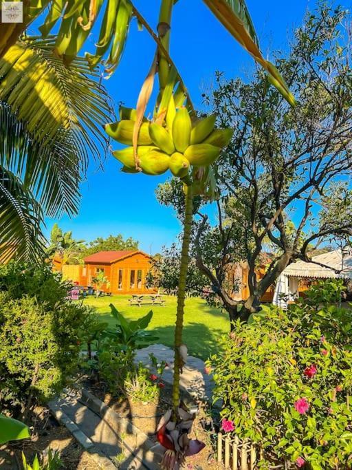 Finca Tierra Sana Эстепона Экстерьер фото