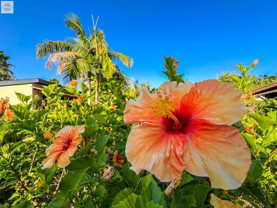 Finca Tierra Sana Эстепона Экстерьер фото